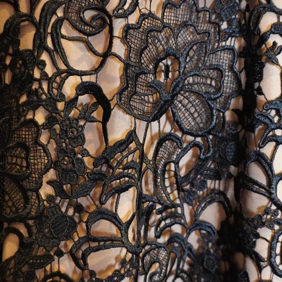 Monique Lhuillier gown formal dress black florallace overlay couture plunge neck - Picture 5 of 16